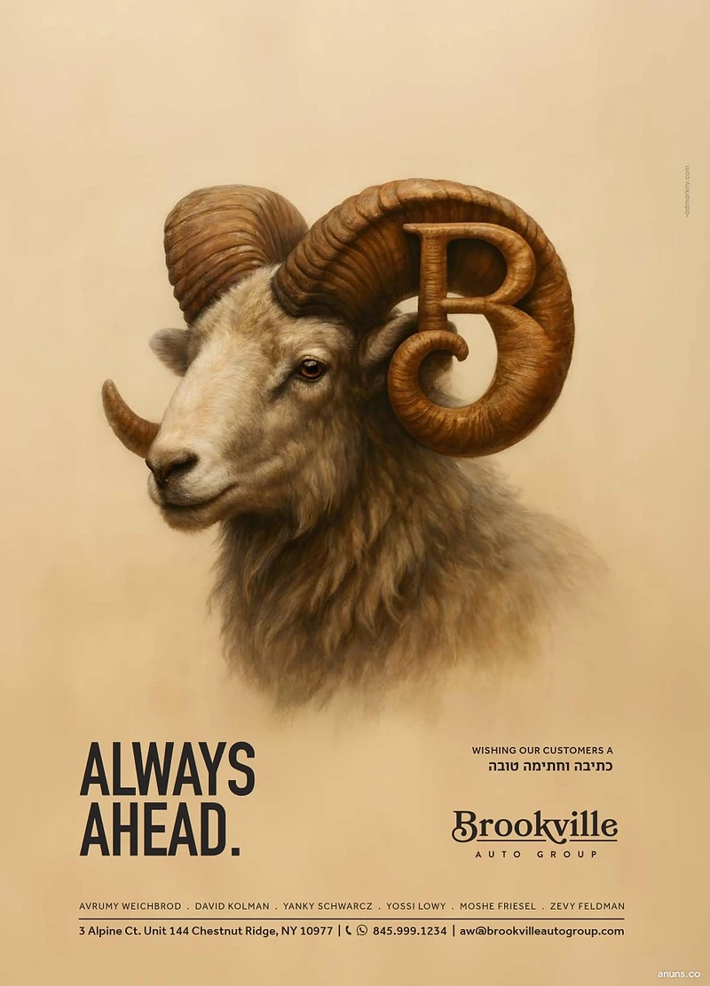 Brookville Auto Group