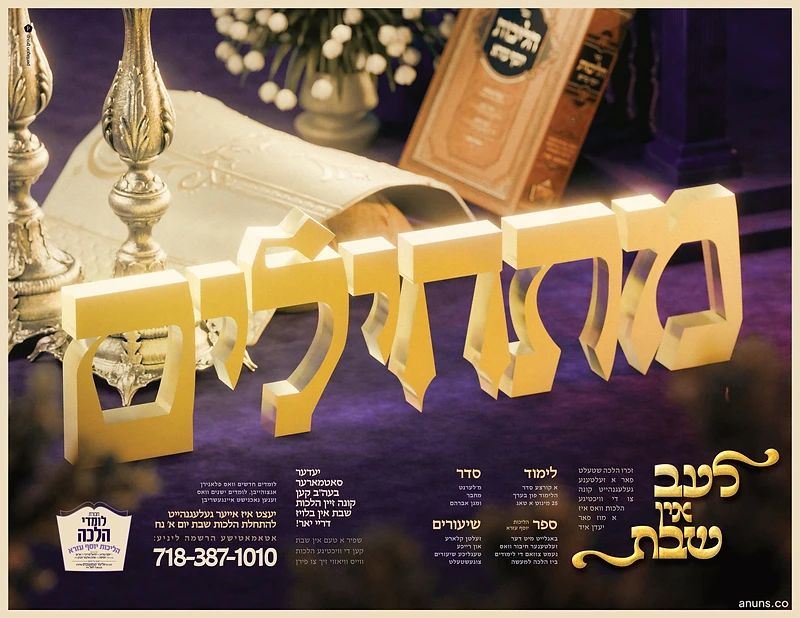 מהודרים (Mehudorim) - Le'taam in Shabbos