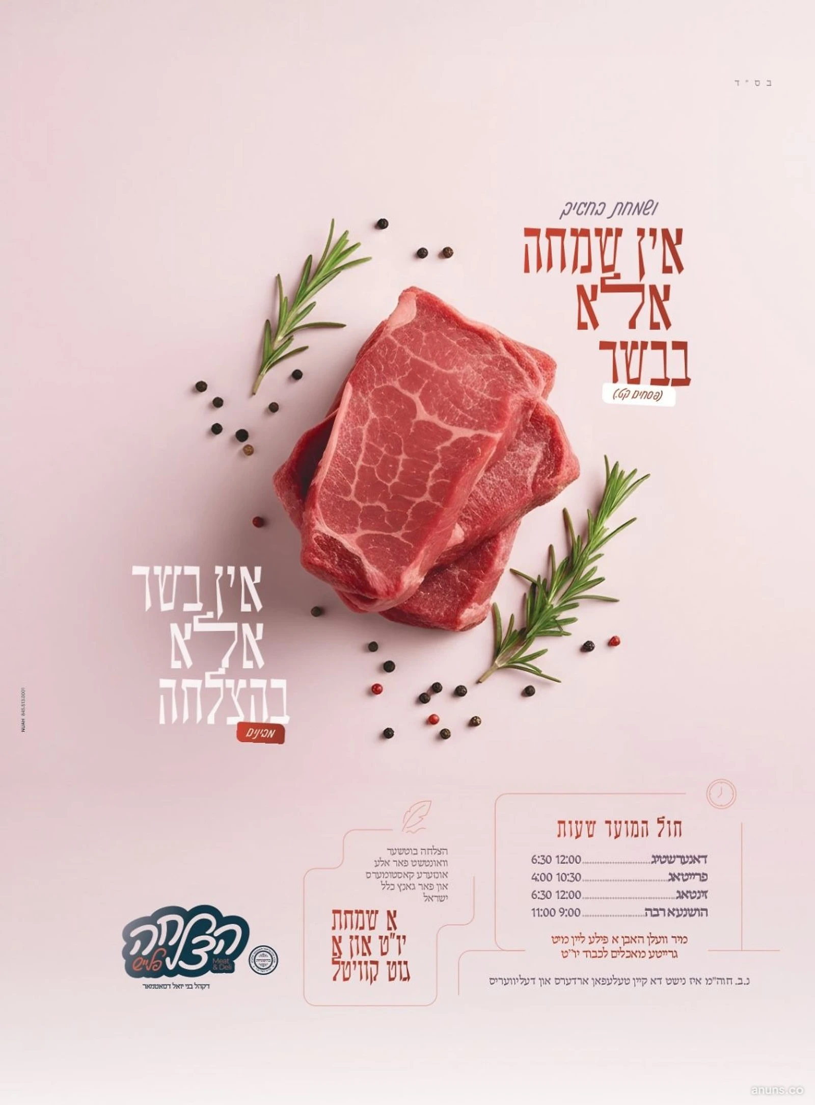 אין שמחה אלא בבשר