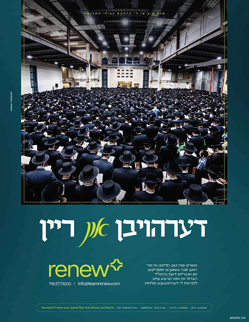Renew