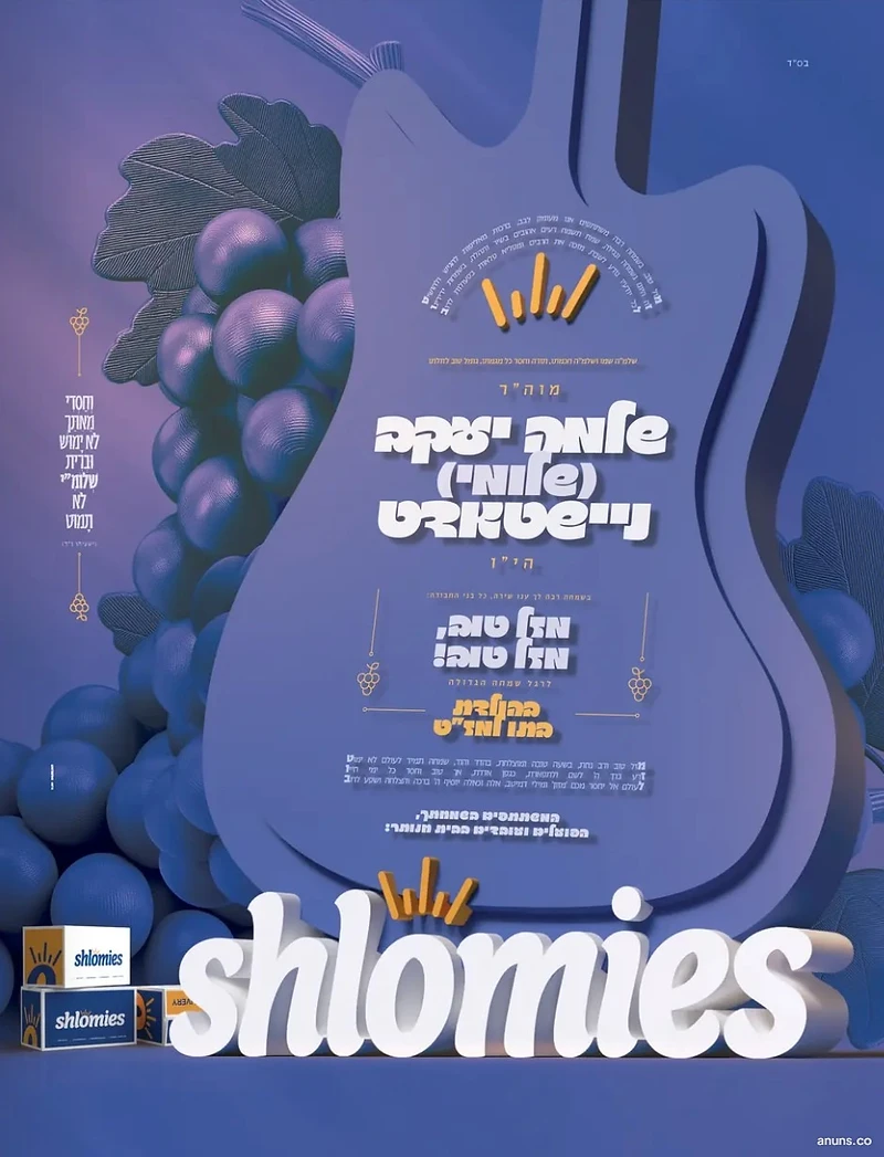 Shlomies