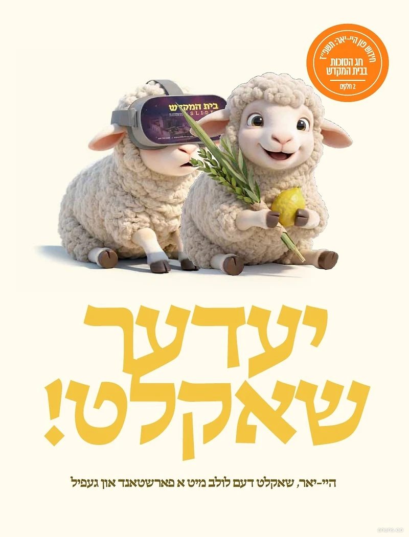 Beis Hamikdash Slide