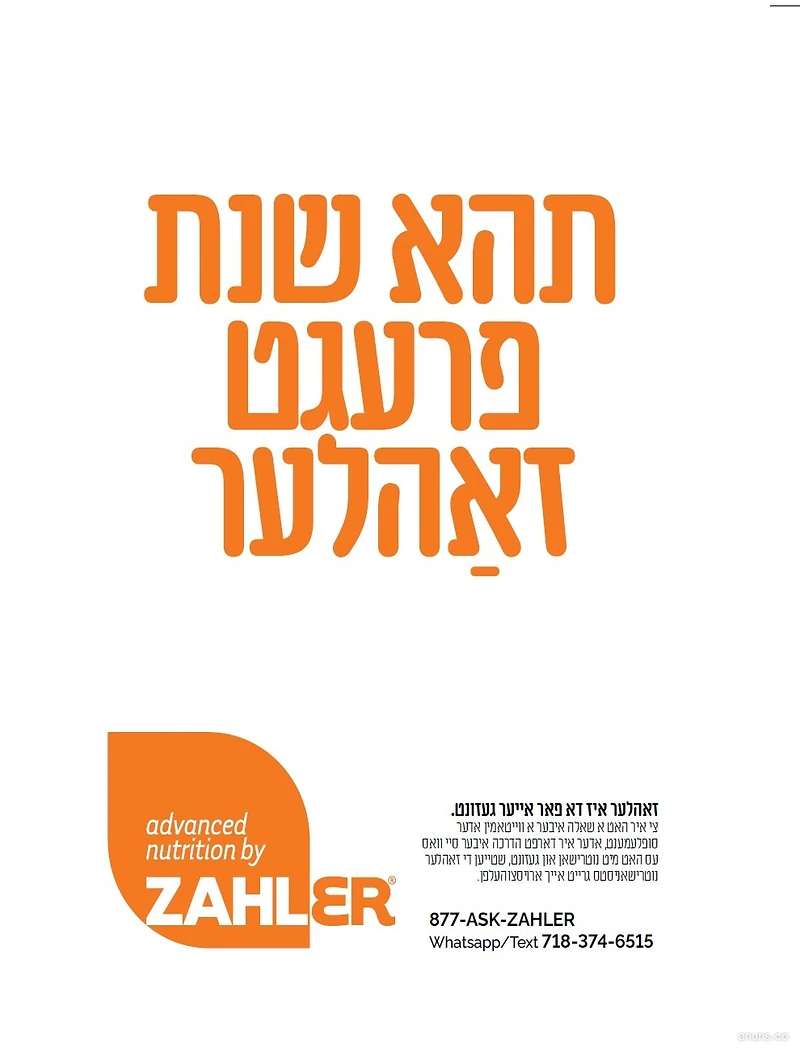 תהא שנת פרעגט דאהלער (Tehay shnas fregt Zahler)