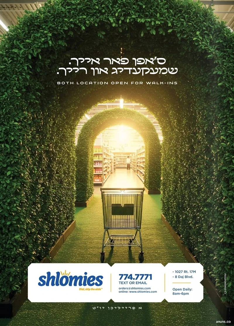 Shlomies