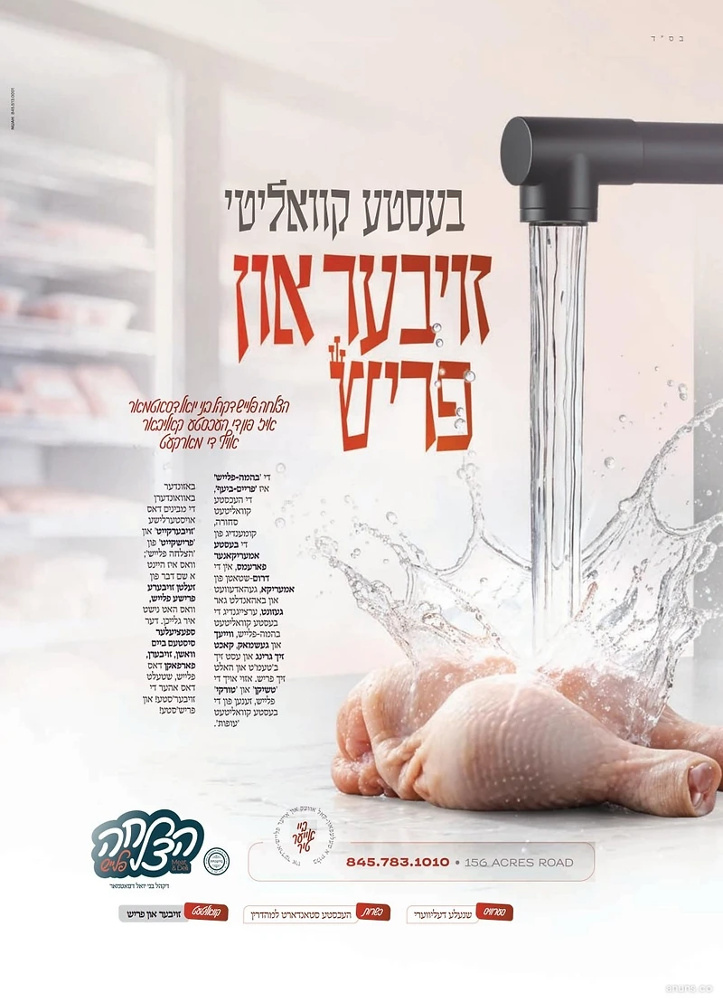 בעסטע קוואליטי זיבער און פריש