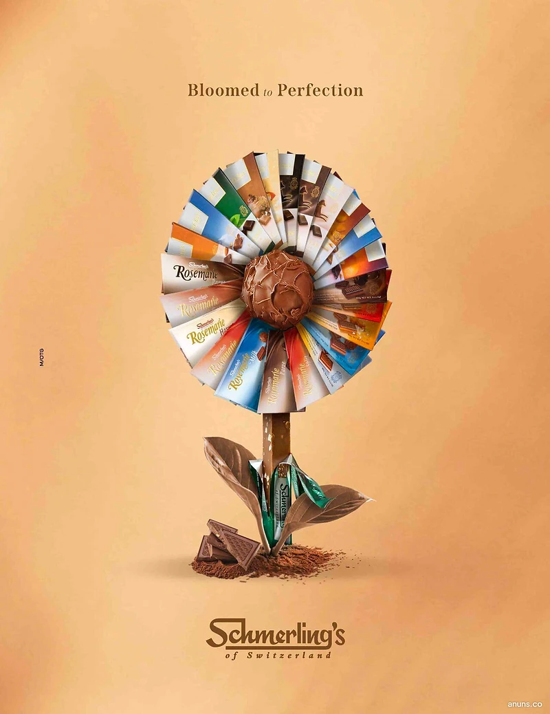 Schmerling's
