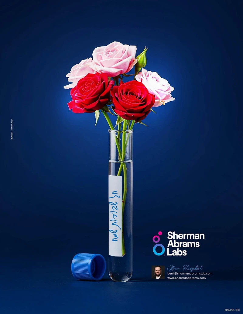 Sherman Abrams Labs
