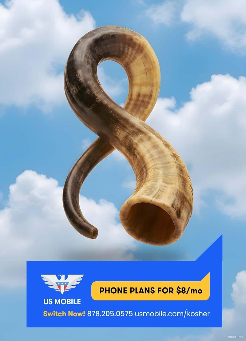 US Mobile