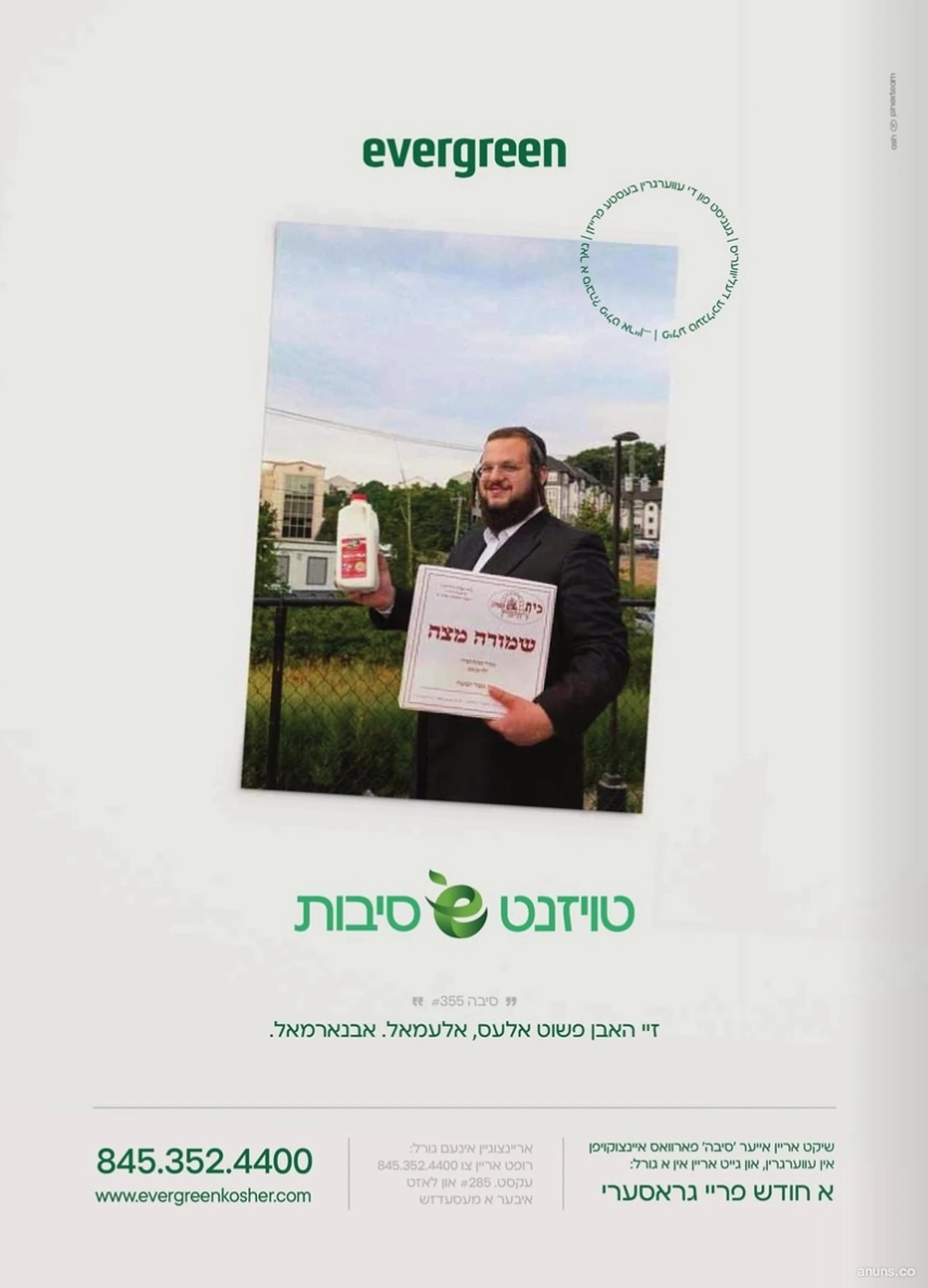 טויזנט סיבות