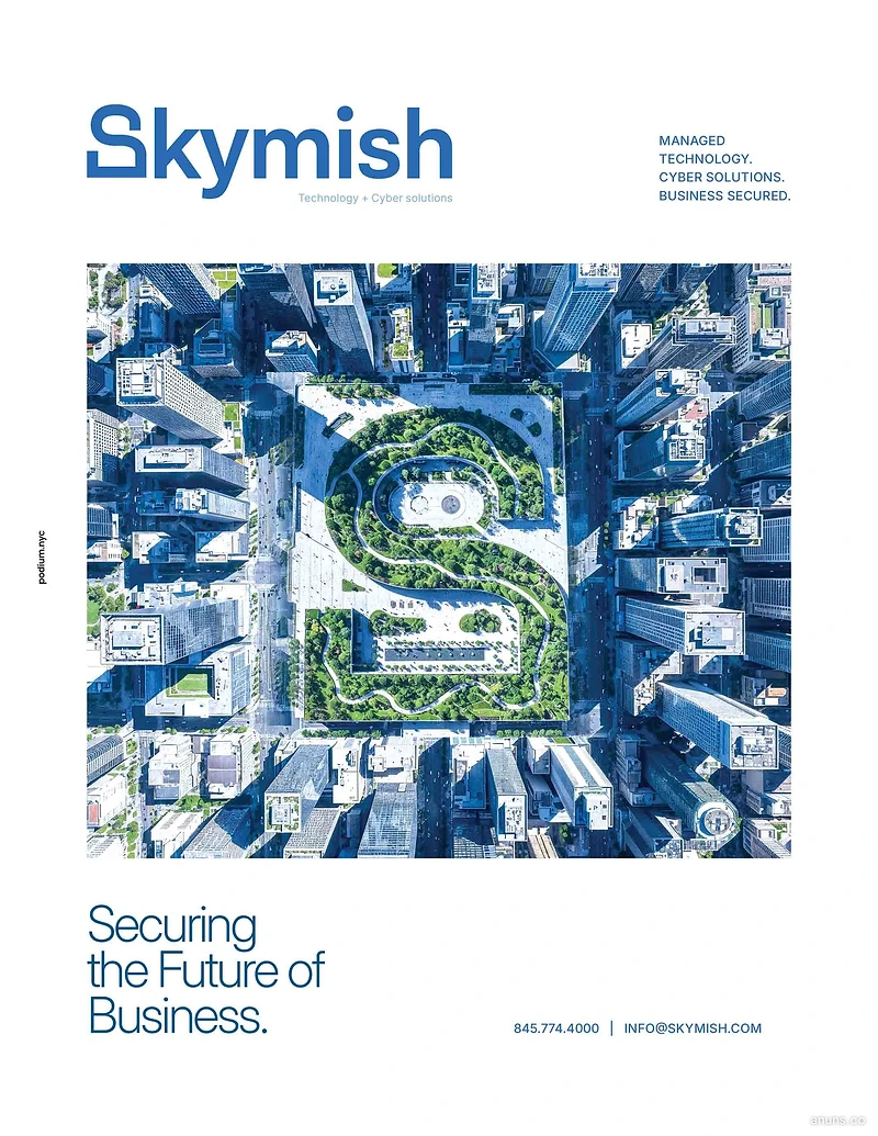 Skymish