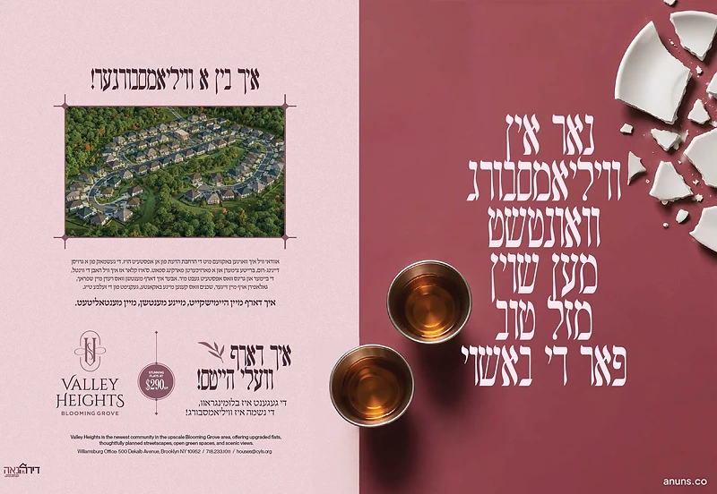 איך בין א וויליאמסבורגער!