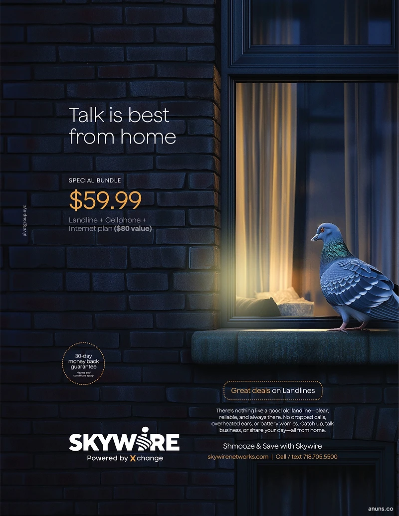 Skywire
