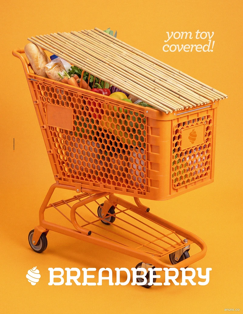 yom tov covered!