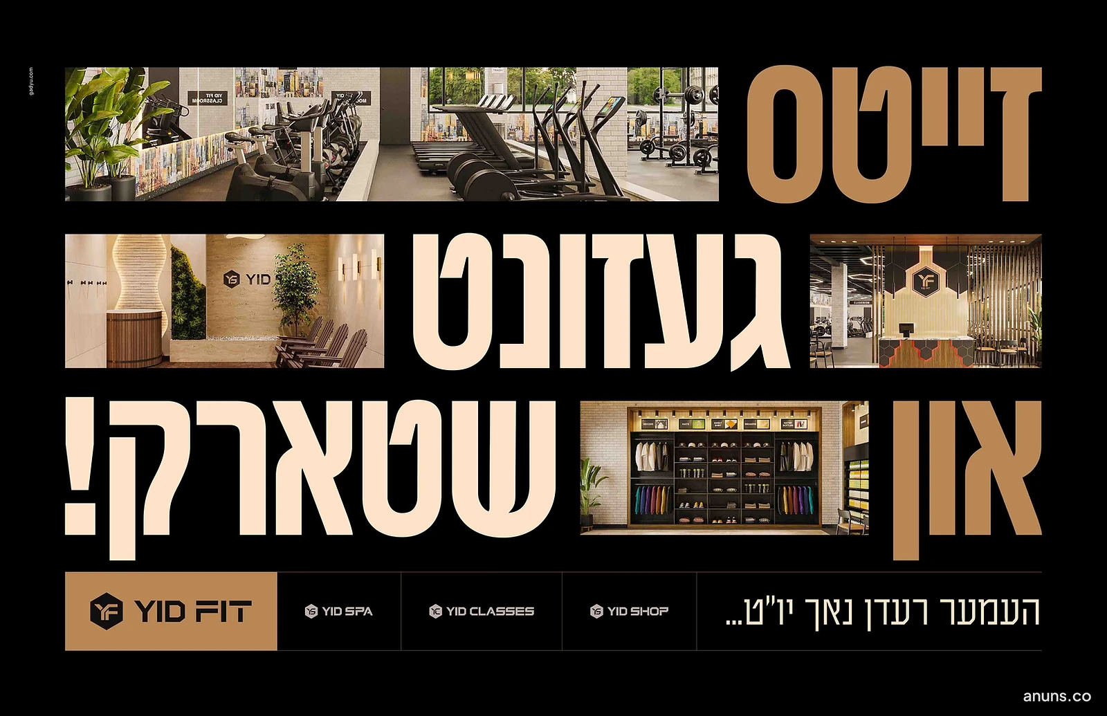 דייטס געזונט און שטארק