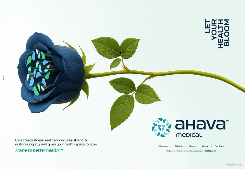 LET YOUR HEALTH BLOOM