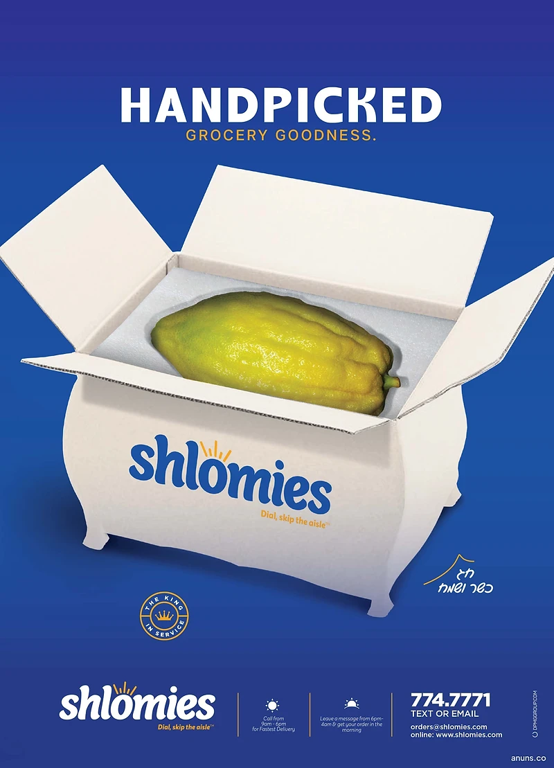 Shlomies