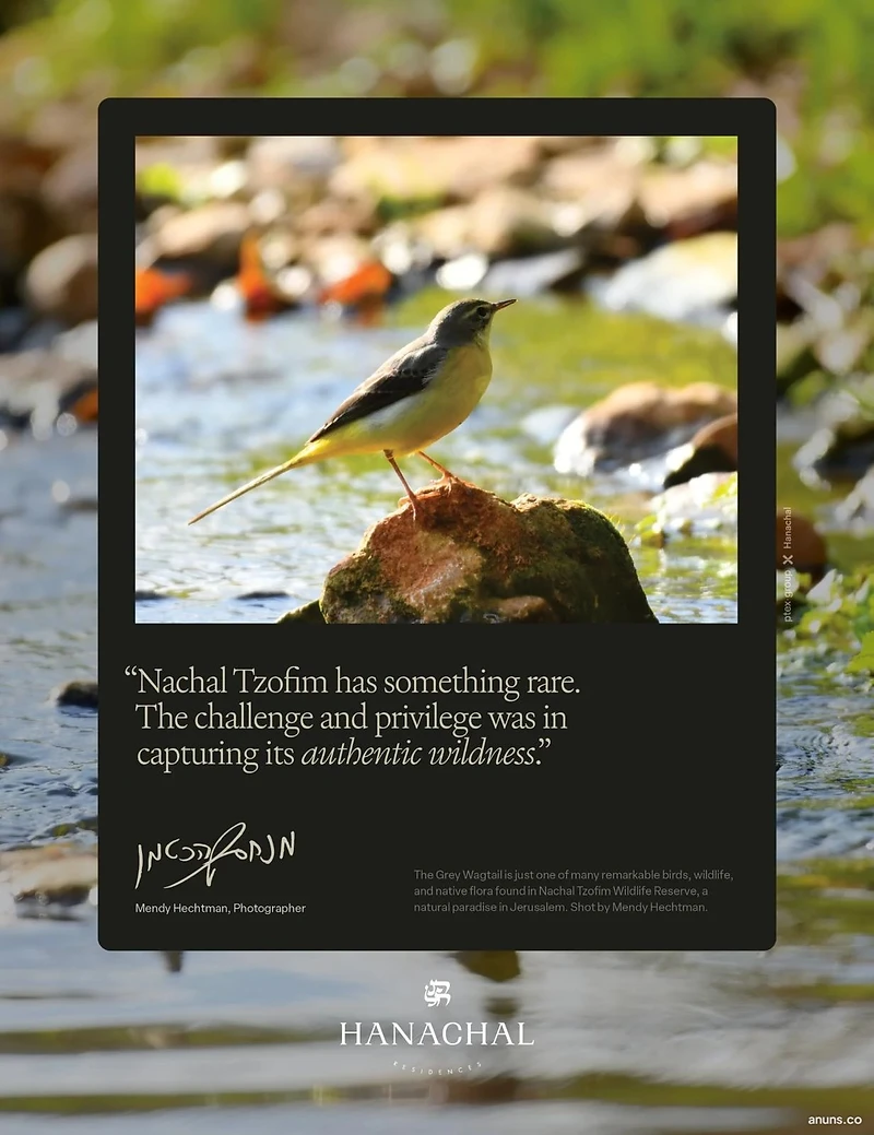 Nachal Tzofim has something rare.