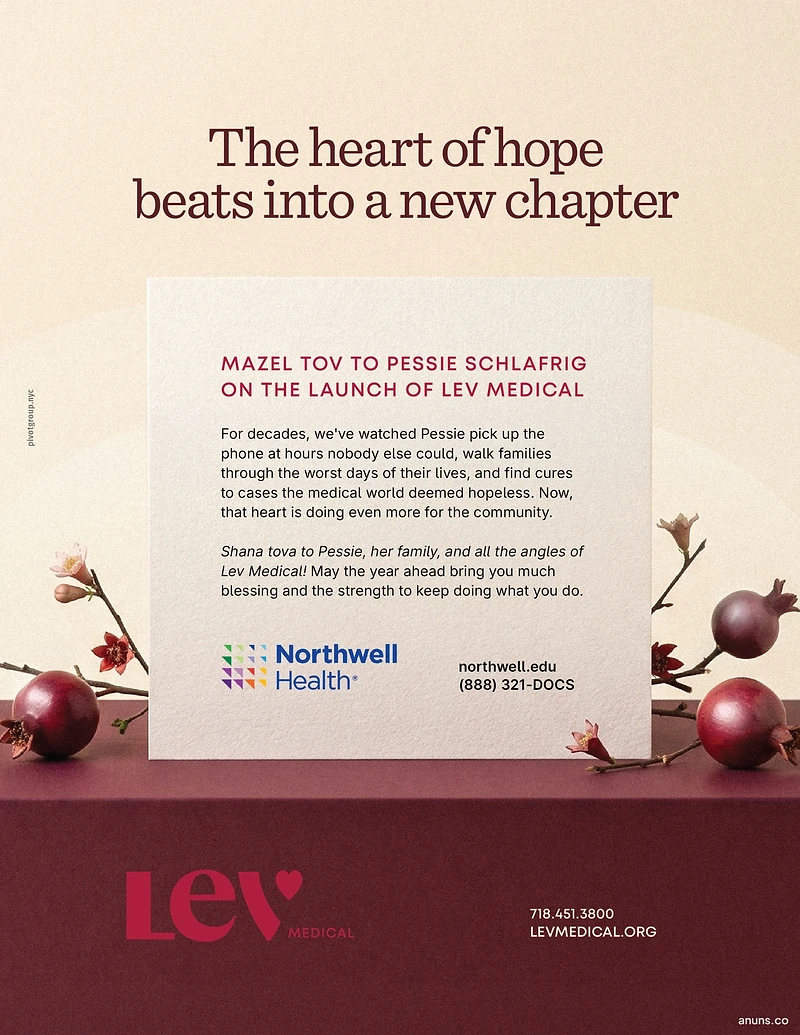 Lev Medical