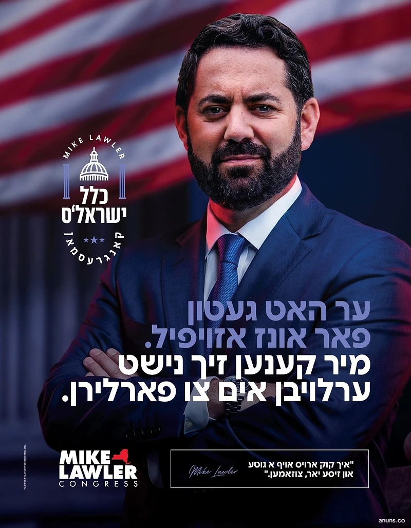 Mike Lawler Congress