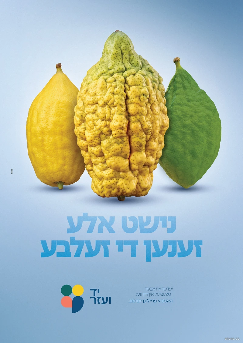 Yad Voezer