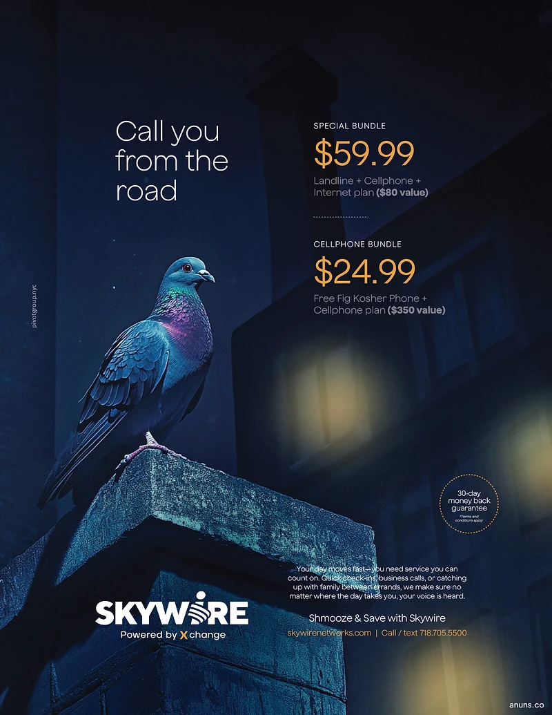 Skywire