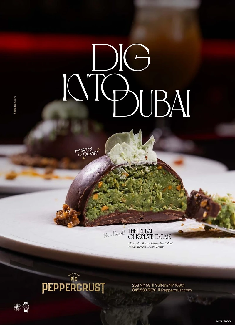 DIG INTO DUBAI