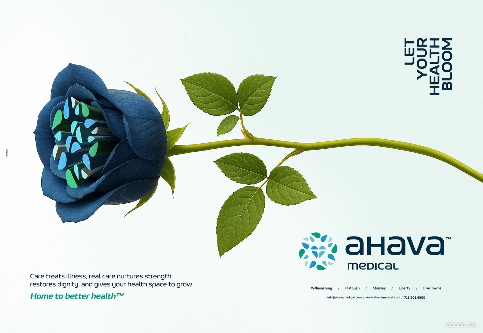 LET YOUR HEALTH BLOOM