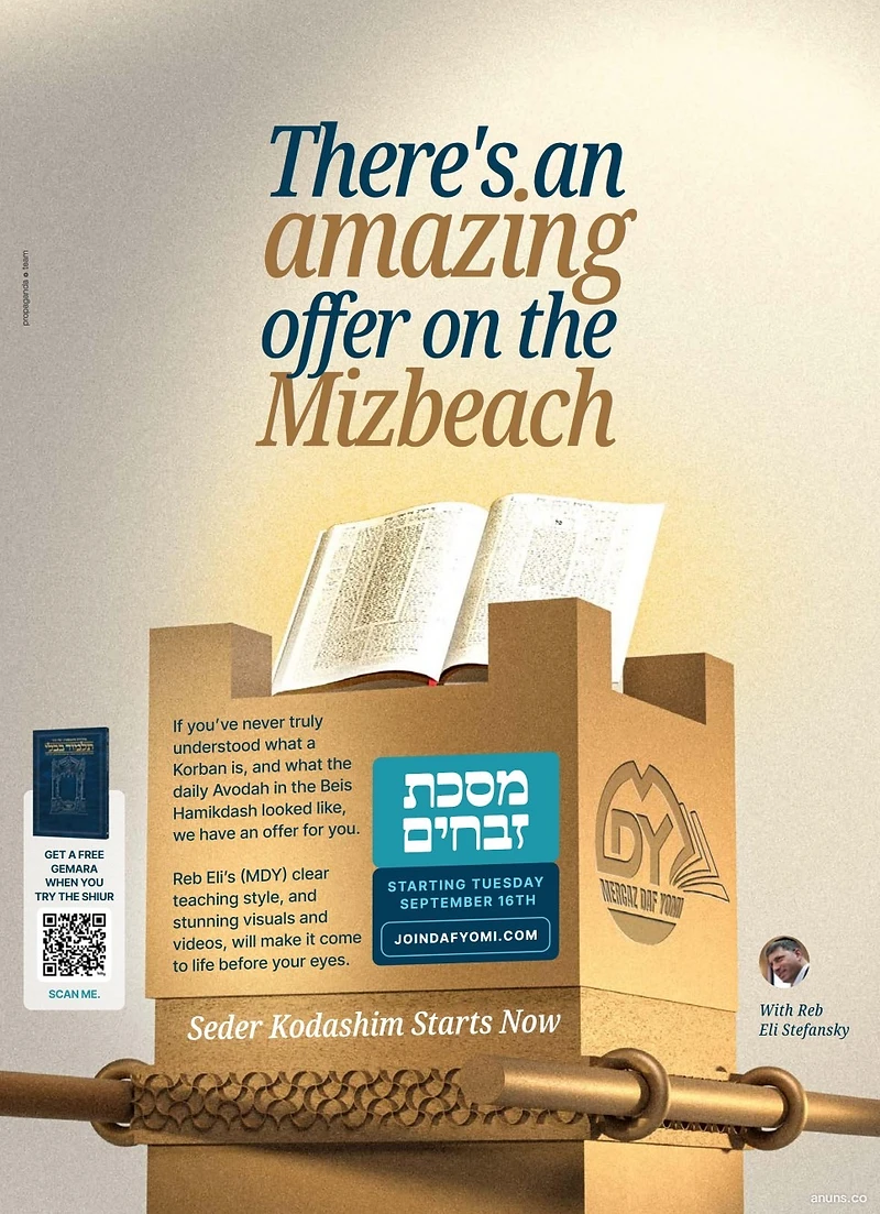 There's an amazing offer on the Mizbeach