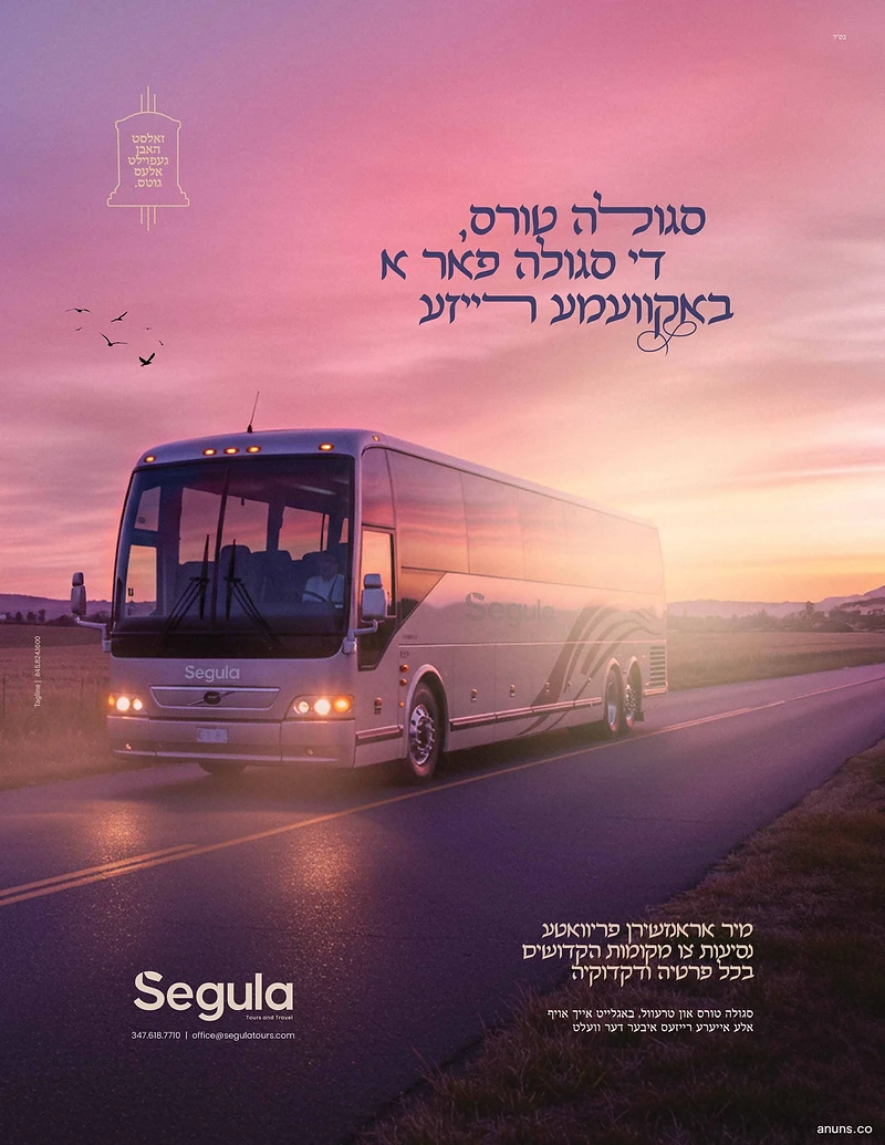 Segula Tours and Travel