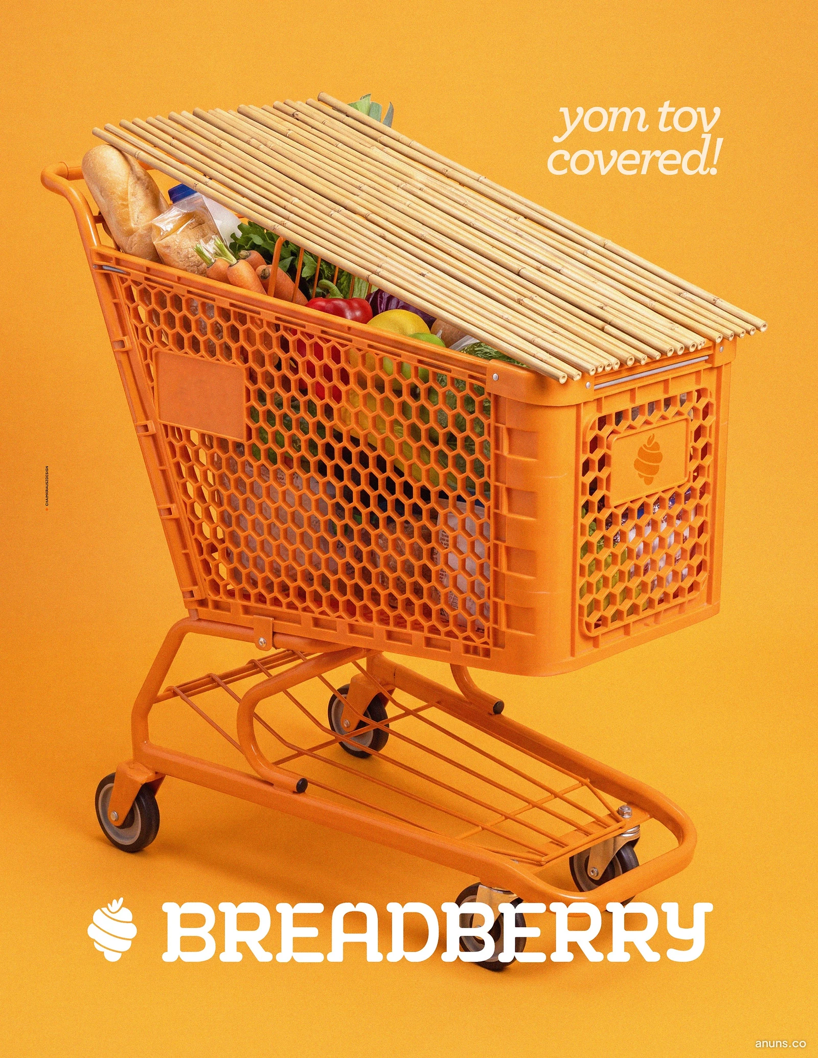 yom tov covered!