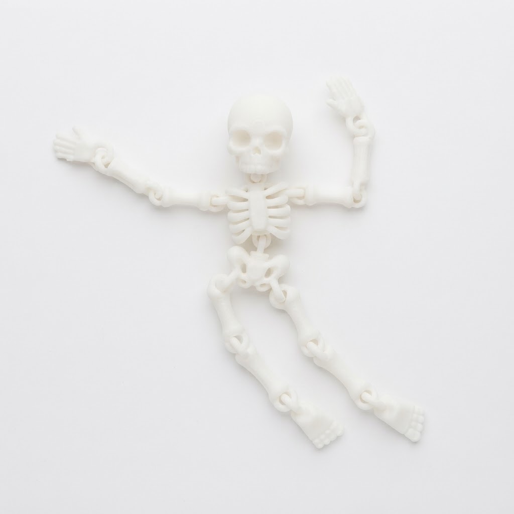 Articulated Skeleton