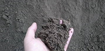 Screened Topsoil