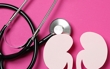 Screenshot of the Kidney Health Tracker homepage