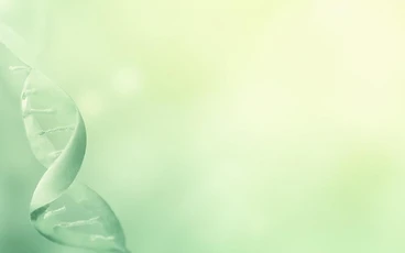 Screenshot of the The Wellness Institute homepage