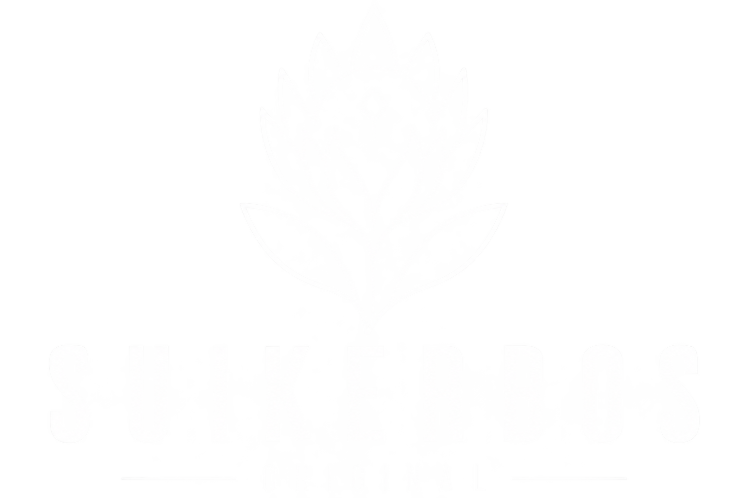 SUIKERBOS