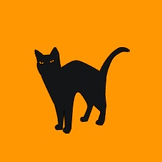 Katze 1