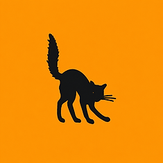 Katze 3
