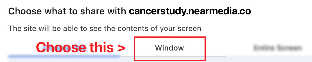 Choose the Window tab in the share dialog