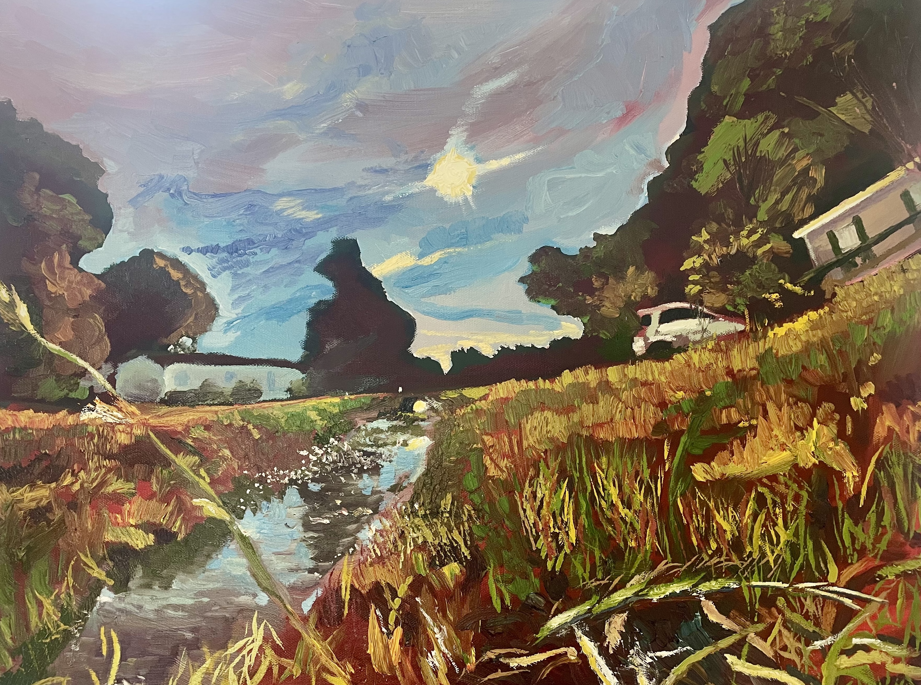 Fish Ditch