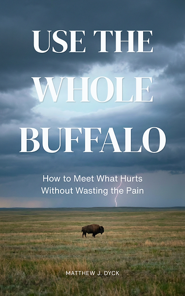 Book cover for Use the Whole Buffalo: a lone bison on the prairie under a stormy sky with a bolt of lightning.