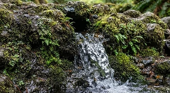 Clear spring water emerging from rocky ground.