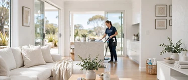 Domestic Cleaning
