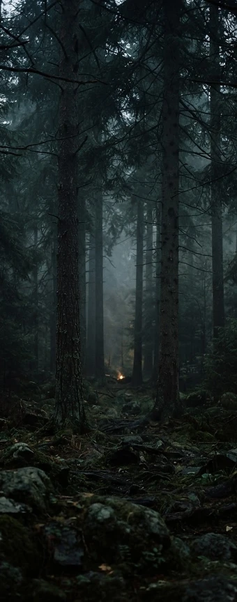 The Leshy's Bargain
