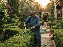 Jardinage