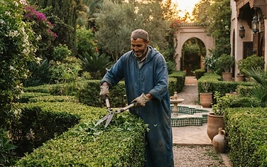 Jardinage
