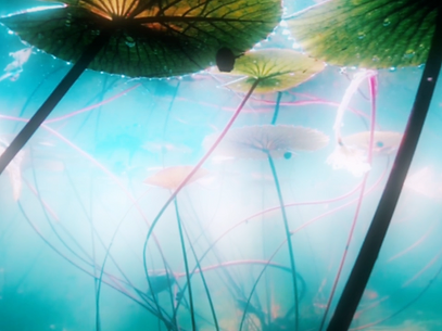 I Stayed Long Enough to See It — still frame 1
