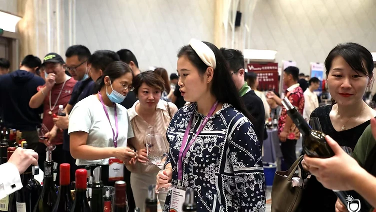 Hotel beverage procurement team reviewing wine inventory, landed cost spreadsheets, and bottle quality in a hotel cellar