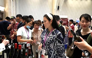 Senior HoReCa wine buyer tasting and evaluating international wine samples for hotel and restaurant wine list selection