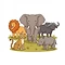 Big Five Safari