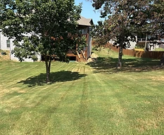 Lawn Mowing